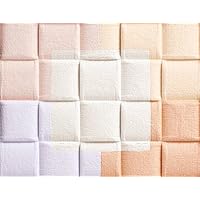 Amazon | マキアージュ ドラマティックムードヴェール シルキー